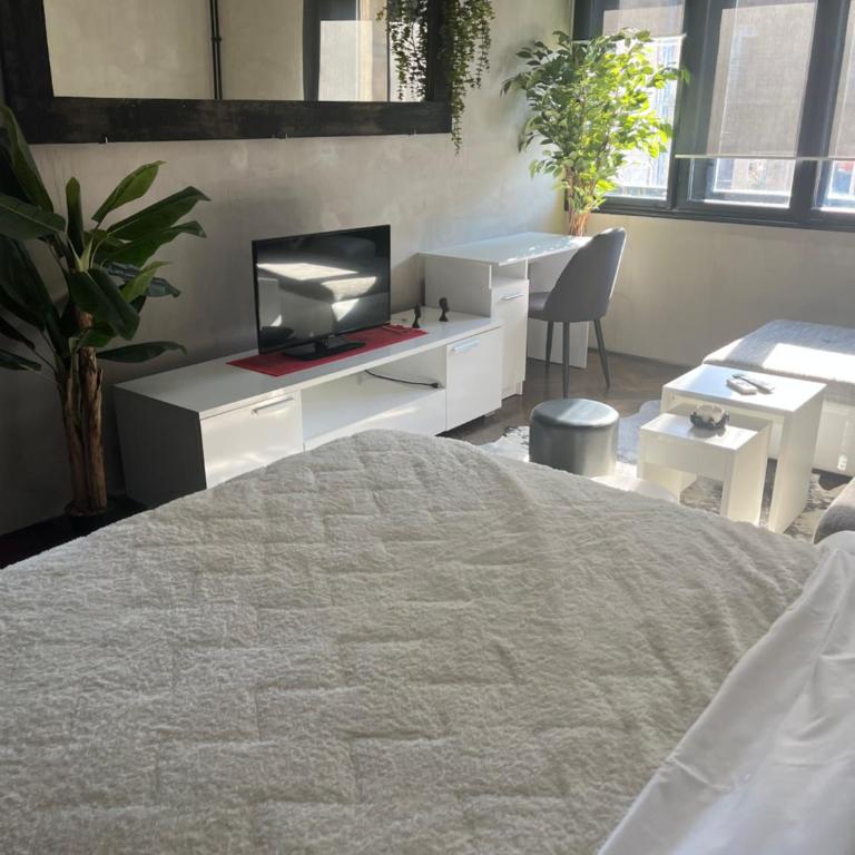 CentarBg Lux apartment - Apartman sa 1 Spavaćom Sobom - 14