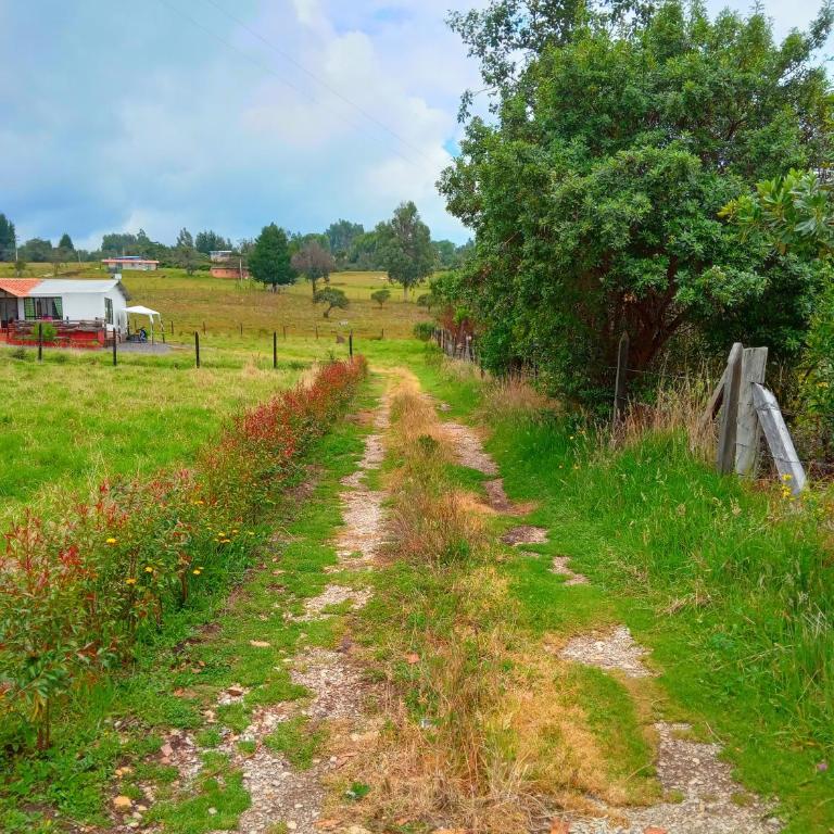 Casa Campo La Milagrosa - Two-Bedroom House - 3