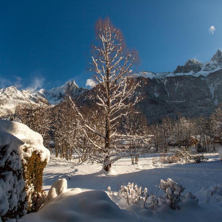 Superbe 3 pièces Chamonix - Jardin privé - Parking - Animaux admis - FR-1-517-25 - Apartment (8 Erwachsene) - 13