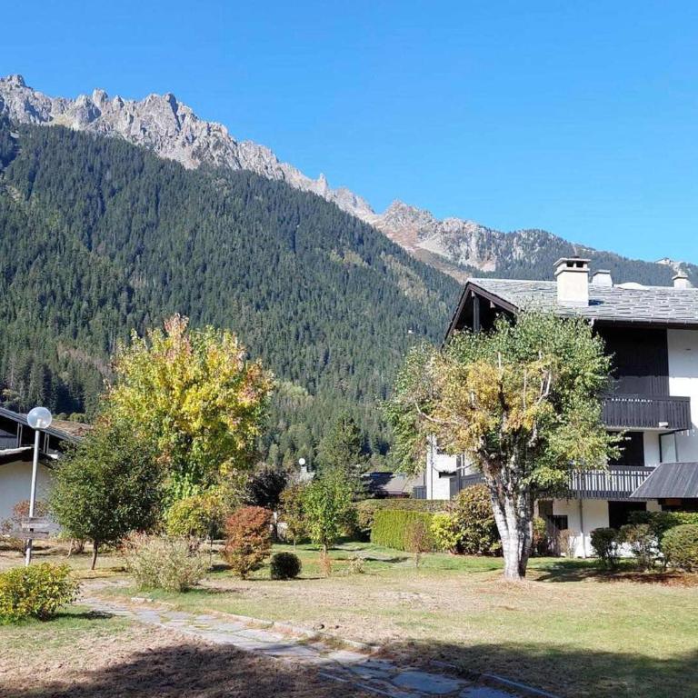 Superbe 3 pièces Chamonix - Jardin privé - Parking - Animaux admis - FR-1-517-25 - Apartment (8 Erwachsene) - 14