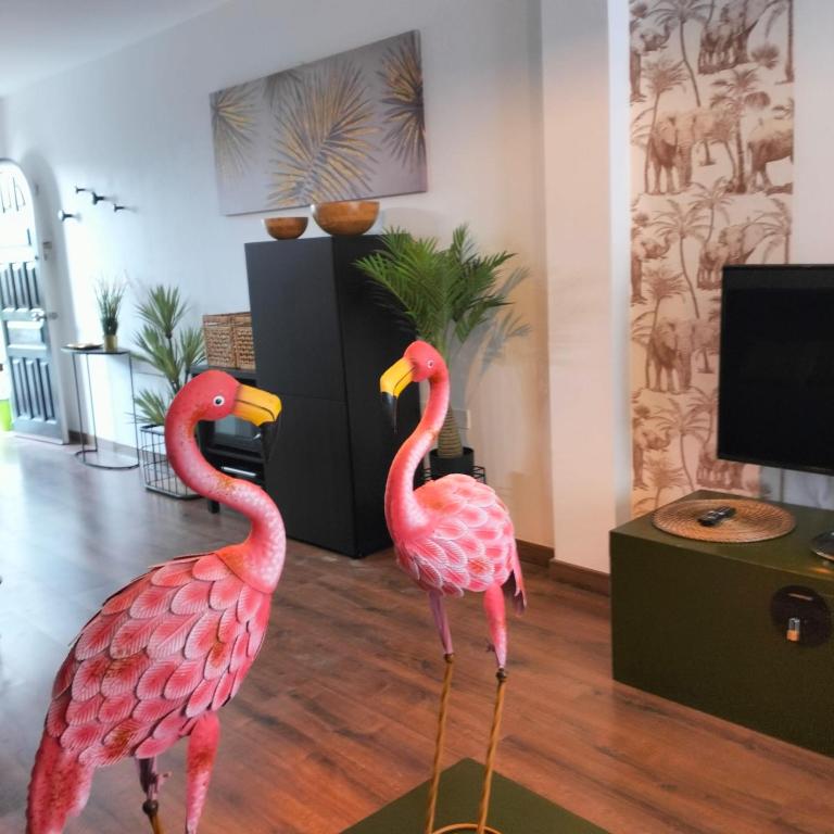 MAREZIA - One-Bedroom Apartment - 29