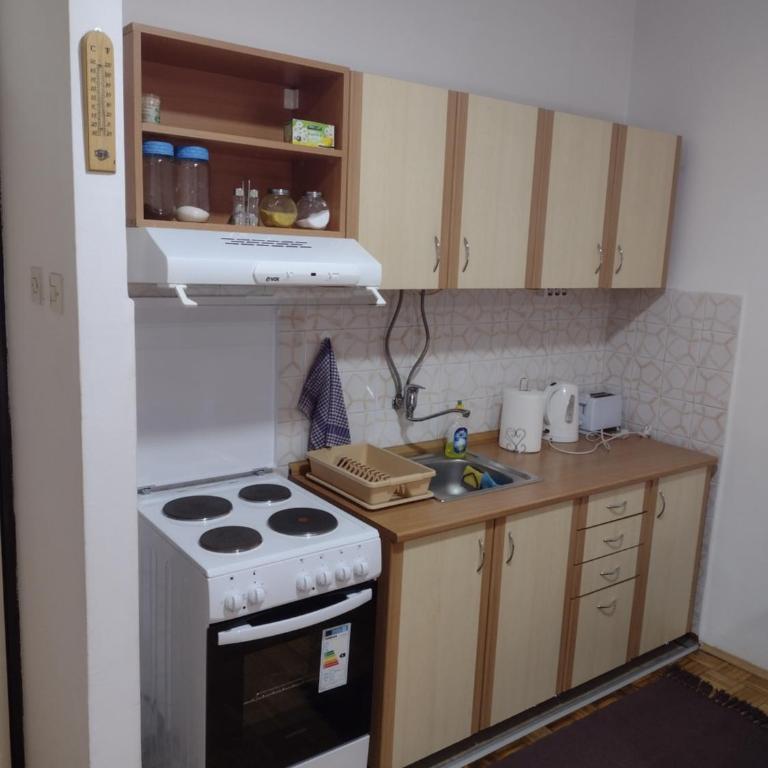 Apartman Vesna - Apartman sa 1 Spavaćom Sobom - 7
