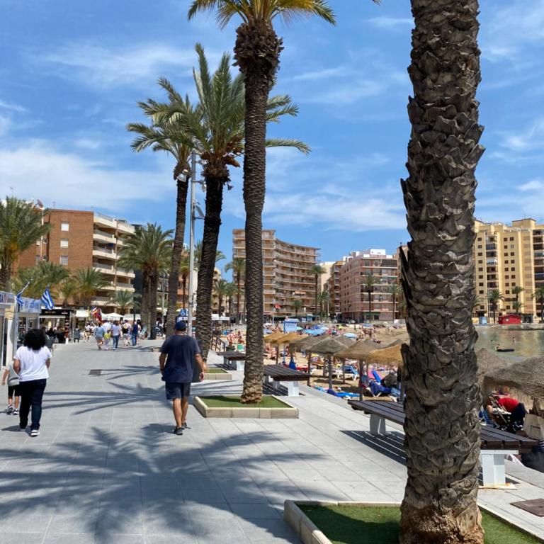 Appartement Torrevieja Alicante - Apartamento de 3 dormitorios - 30