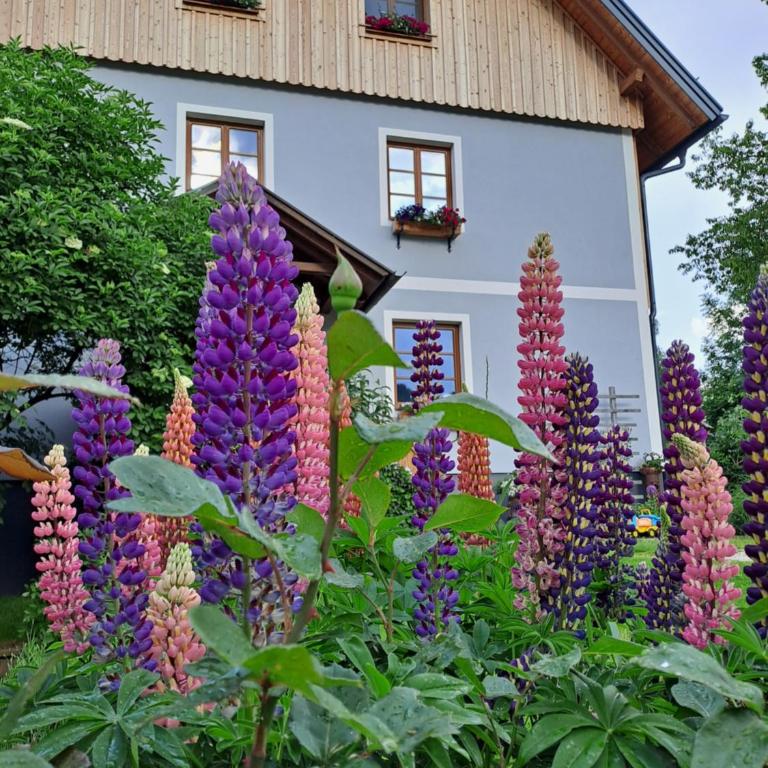 Urlaub im Stall - Apartment mit 2 Schlafzimmern - 14