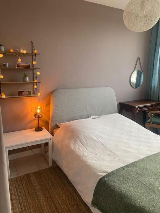 Charmant appartement quartier école d’agronomie - Apartment mit 3 Schlafzimmern - 18