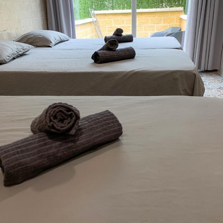 Apartamentos La Ruta - Estudio con terraza - 11
