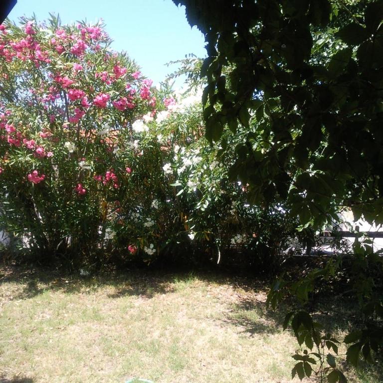Monolocale San Teodoro - Studio - Split Level - 14