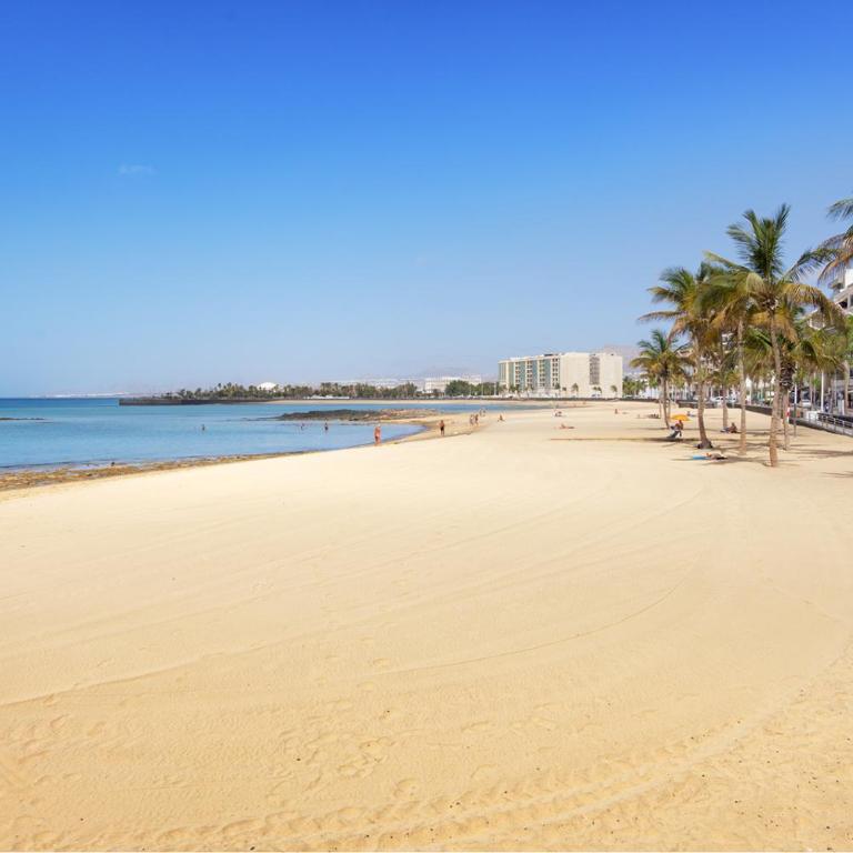 Lanzahost REEF XXI - Playa Reducto - Apartamento de 1 dormitorio - 1