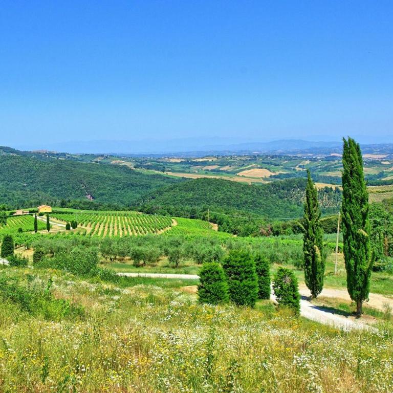 Villa Il Caggio by PosarelliVillas - Villa - 82