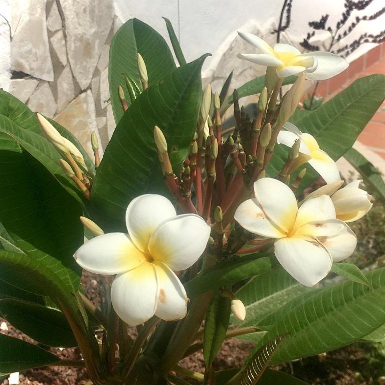 Cosy Flat near Golf Club - Heated Pool, Terrace, Garden, Wi-Fi - Apartamento de 1 dormitorio - 21