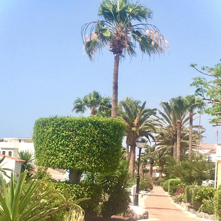 Cosy Flat near Golf Club - Heated Pool, Terrace, Garden, Wi-Fi - Apartamento de 1 dormitorio - 18