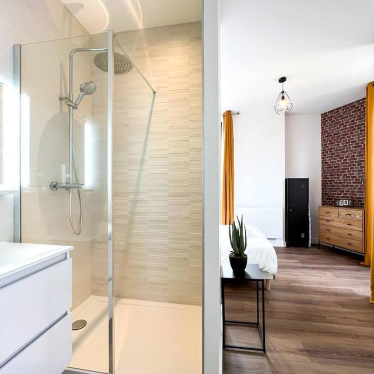 Hyper centre de Grenoble, esprit industriel - fibre - Appartement 1 Chambre - 11