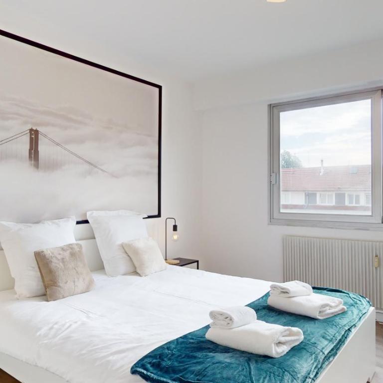 Appartement La Fecht + parking - Appartement 1 Chambre - 8