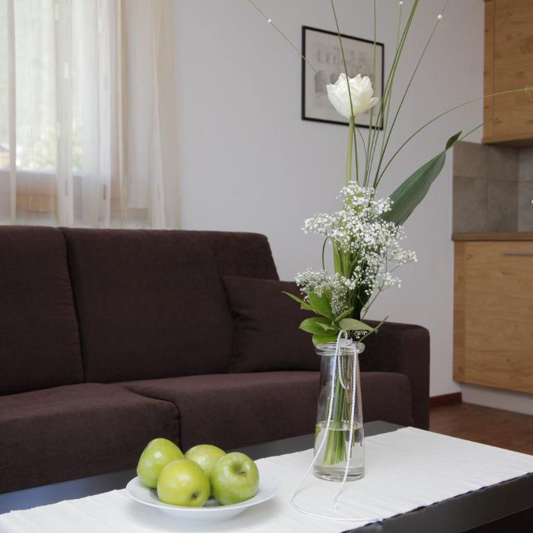 Hotel Garni Paler - Appartamento con 1 Camera da Letto e Balcone - 3