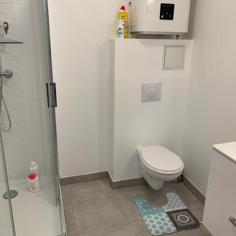 Room in Toulouse - T2 Toulouse Saint Martin du Touch - Apartment mit 1 Schlafzimmer - 11