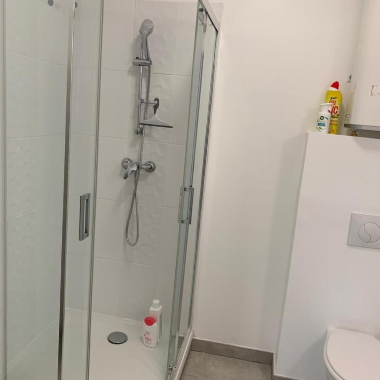 Room in Toulouse - T2 Toulouse Saint Martin du Touch - Apartment mit 1 Schlafzimmer - 13