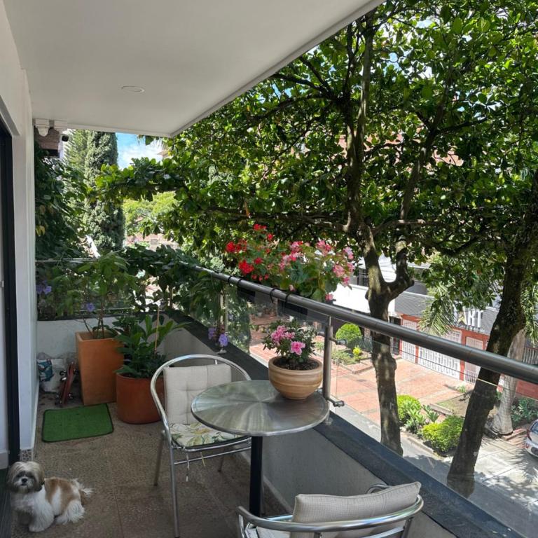 Casa del Arbol Apto. 301 - Apartamento de 2 dormitorios - 1