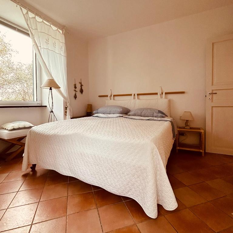 "Ulivi nel Blu" Country House With Pool 2 Rooms - Appartamento con 2 Camere da Letto - 2
