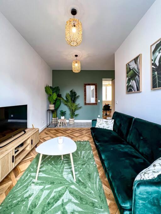 Hyper-centre de Grenoble, ambiance tropicale, wifi fibre - Appartement 1 Chambre - 20