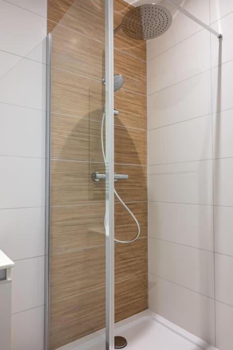 Hyper-centre de Grenoble, ambiance tropicale, wifi fibre - Appartement 1 Chambre - 22