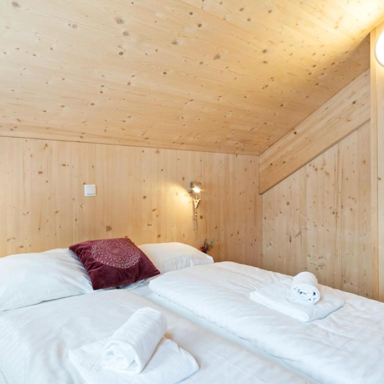 Chalet in Hohentauern - Chalet Ana - Superior Chalet - 62