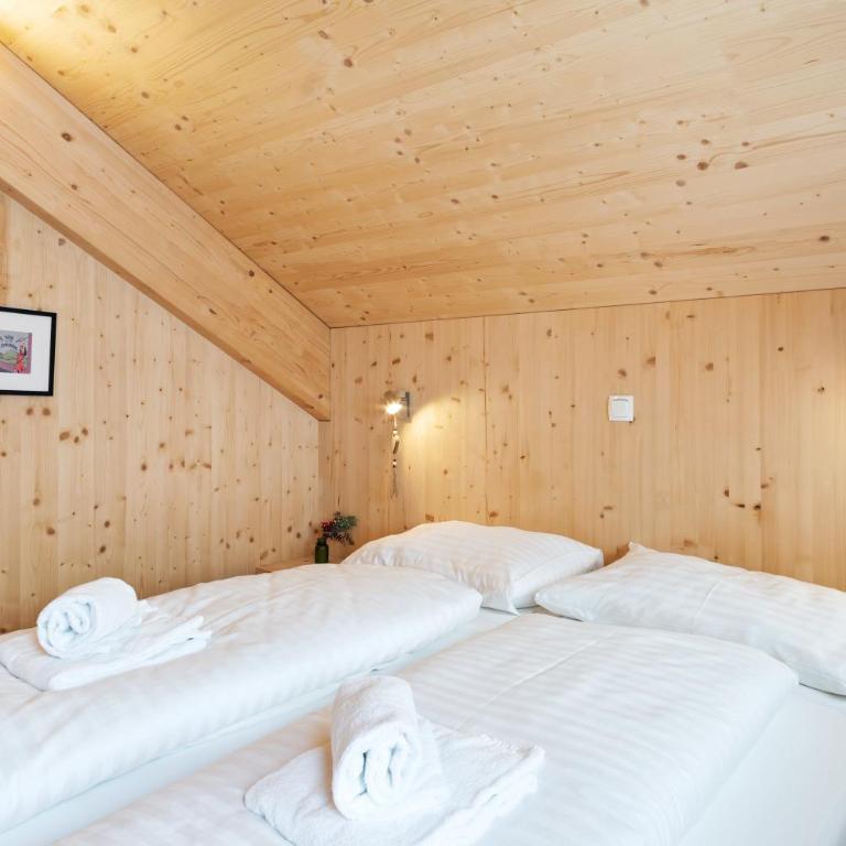 Chalet in Hohentauern - Chalet Ana - Superior Chalet - 63