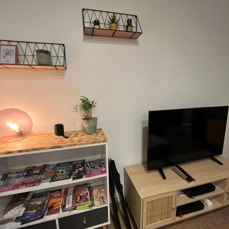 La Cour Chartraine - Cosy appartement avec cour extérieur à Blois - Apartment mit 1 Schlafzimmer - 11