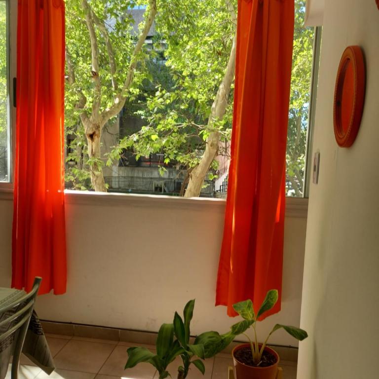 Loft ubicación perfecta - Apartamento de 1 dormitorio - 2