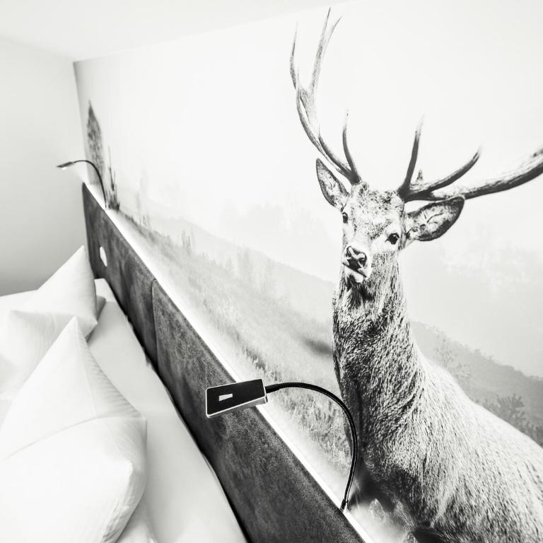 Gästehaus Oblasser - Doppelzimmer - 3