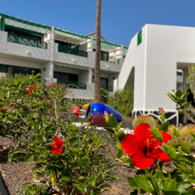 Beautiful Apartment Aguycan Beach 120 Playa del Aguila Maspalomas Gran Canaria - Apartamento de 1 dormitorio - 33