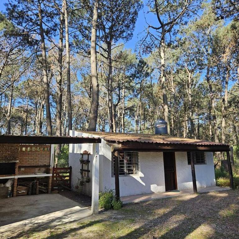 Bosque y playa en Jaureguiberry. Cabaña monoambiente para 4 personas - One-Bedroom House - 9