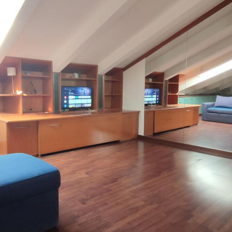 Loft Mansardato - Appartement 1 Chambre - 23