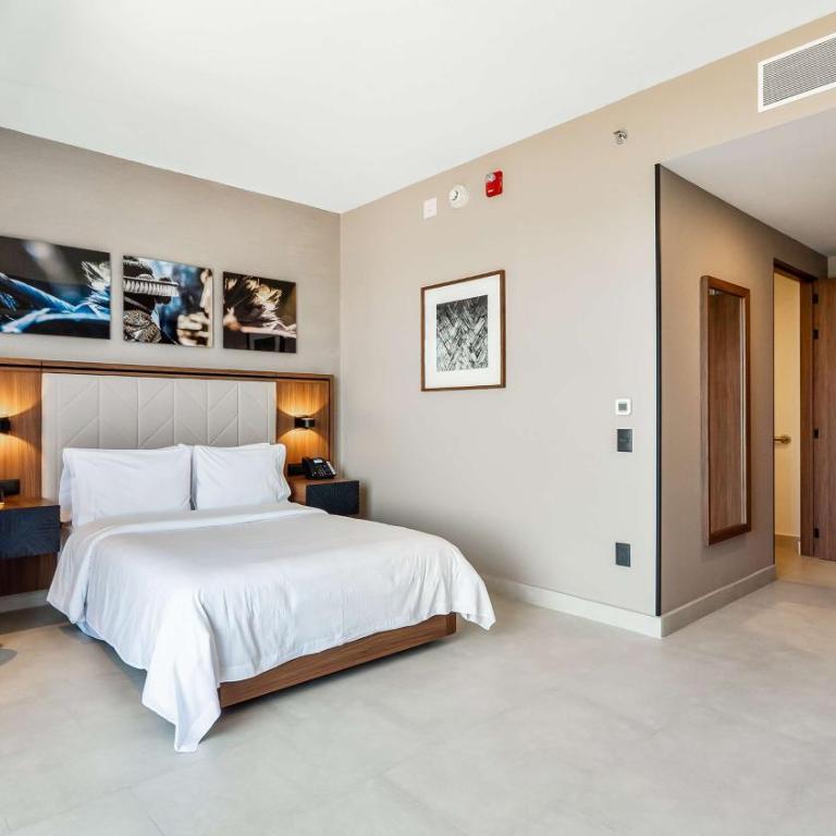 Hampton Inn By Hilton Nuevo Vallarta - Suite con 1 dormitorio y cama grande - No fumadores - 10