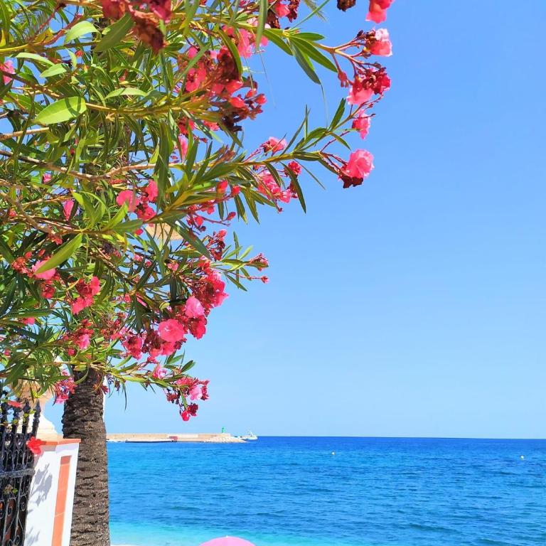 Javea Arenal Beach - Apartamento de 1 dormitorio - 23