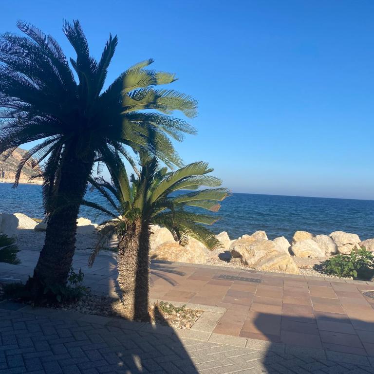 Javea Arenal Beach - Apartamento de 1 dormitorio - 29