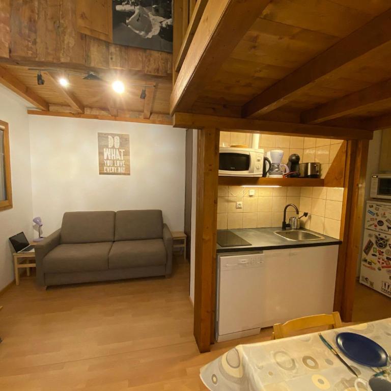 Studio cosy à la montagne avec accès direct aux pistes - 4 personnes - FR-1-181-2478 - Studio - 1