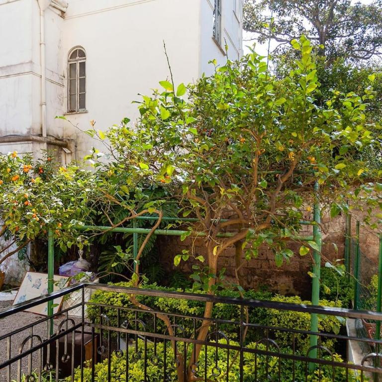 Casa Giangi - Three-Bedroom Apartment - 24