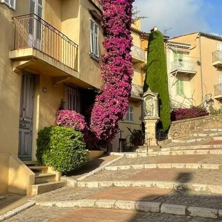 Cannes & More - Appartement - Vue sur Mer - 53