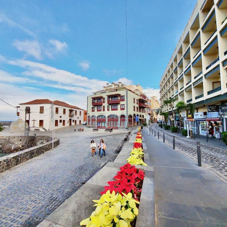 Miranda Penthouse AD with FREE PARKING - Apartamento - 41
