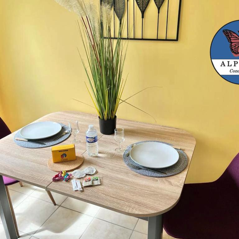 Le Clémenceau fonctionnel et tout équipé - Appartement - 12