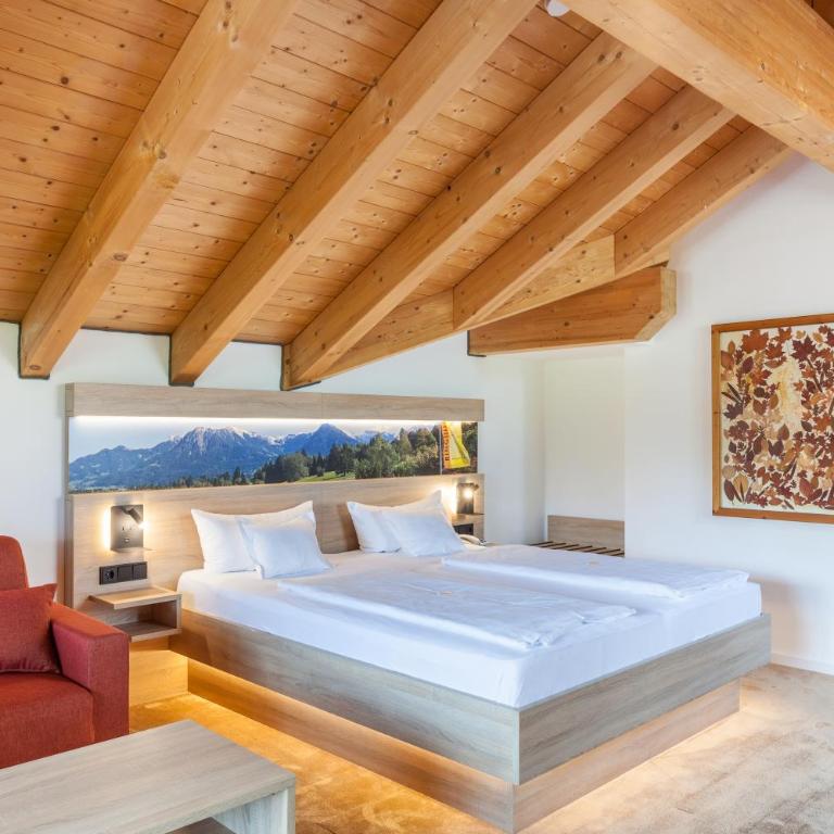 Ringhotel Nebelhornblick - Studio mit Bergblick - 6