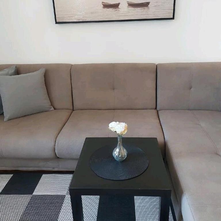 Apartman Elena Dedinje - Apartman sa 1 Spavaćom Sobom - 9