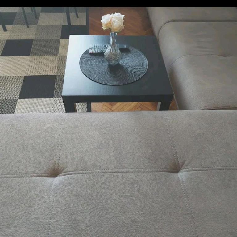 Apartman Elena Dedinje - Apartman sa 1 Spavaćom Sobom - 11