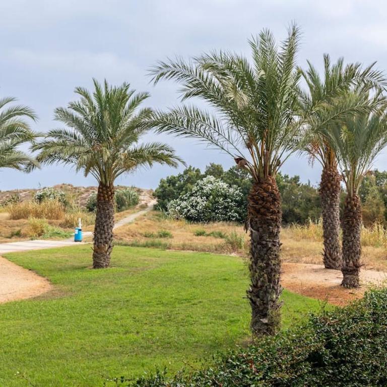 Orilla del mar - Apartamento de 2 dormitorios - 16
