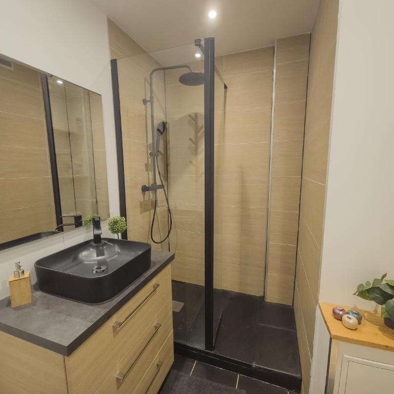 Le Bourget, Grand appartement proche du centre - Appartement 3 Chambres - 14