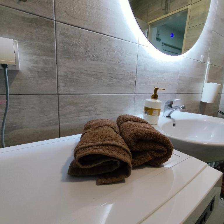 A1 - Airport Belgrade Apartment - Apartman - Prizemlje - 42