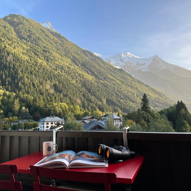 Mont-Blanc View - Panoramic Balcony - Chamonix Centre - Apartamento Deluxe de 2 dormitorios con balcón - 1