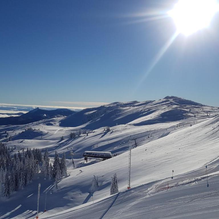 Planinska kuća ,,Furtula" Jahorina - Three-Bedroom House - 11
