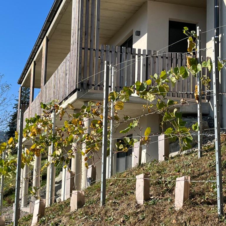 Haus Nebel - Ferienhaus - 3