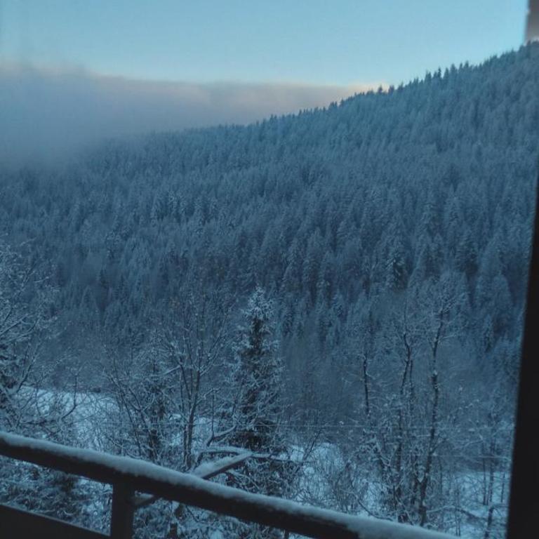 Planinska kuća ,,Furtula" Jahorina - Three-Bedroom House - 5
